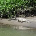 4c River Trip